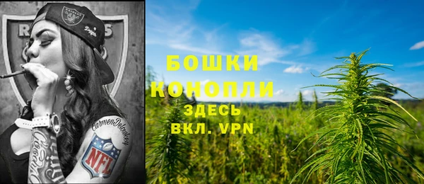 марки lsd Ельня